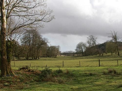 Tor Royal Bed & Breakfast Princetown Buitenkant foto